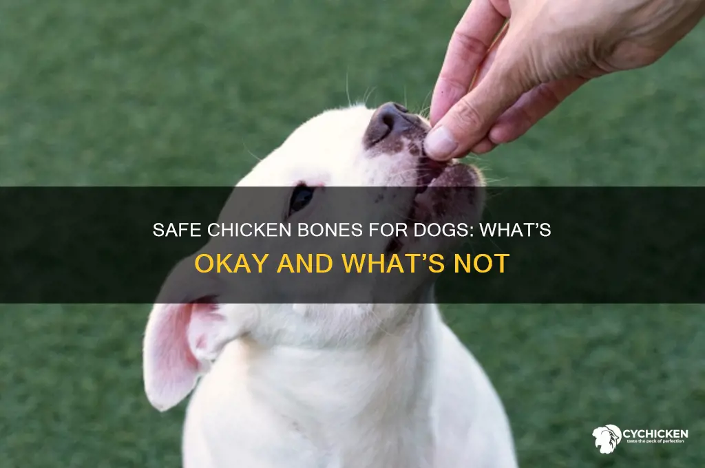 which chicken bones are safe for dogs