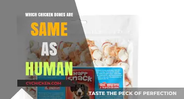 Surprising Similarities: Chicken Bones That Mirror Human Skeletal Structure