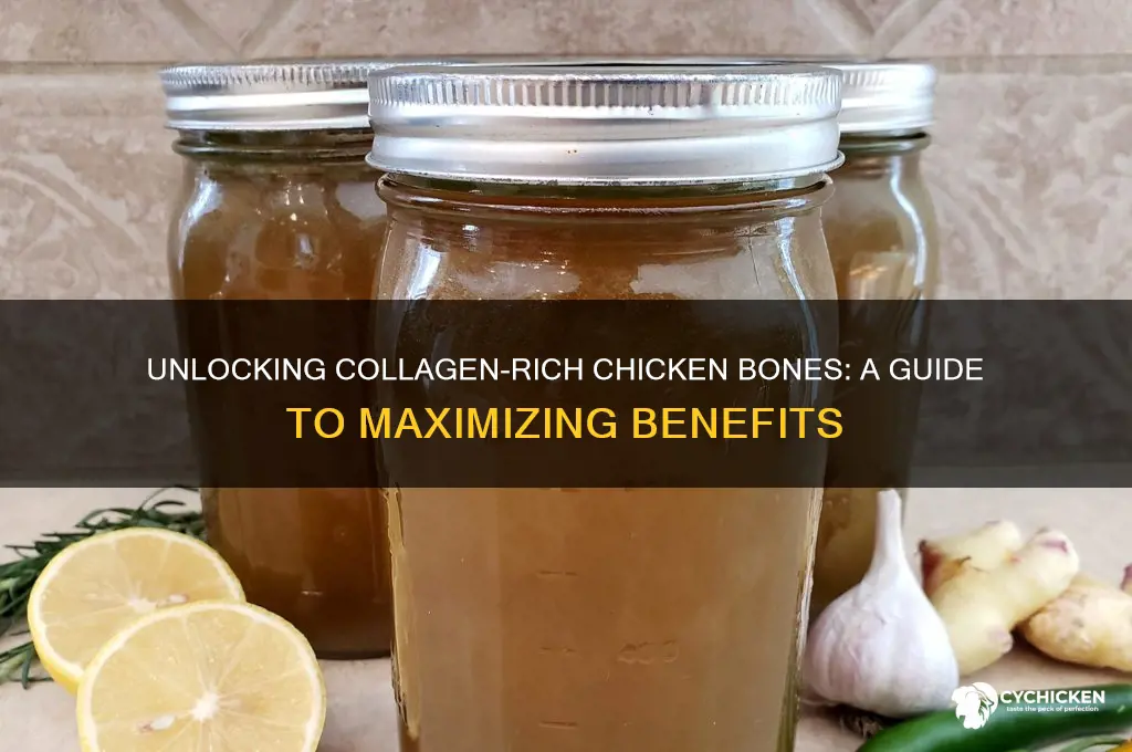which chicken bones have the most collagen
