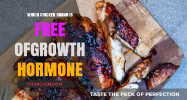 Hormone-Free Chicken Brands: A Guide to Healthy Poultry Choices