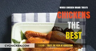 Ethical Poultry Practices: Ranking Chicken Brands by Animal Welfare Standards