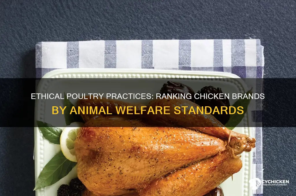 which chicken brand treats chickens the best