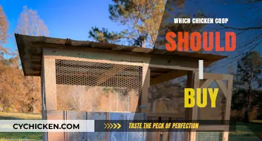 Choosing the Perfect Chicken Coop: A Buyer's Guide for Happy Hens
