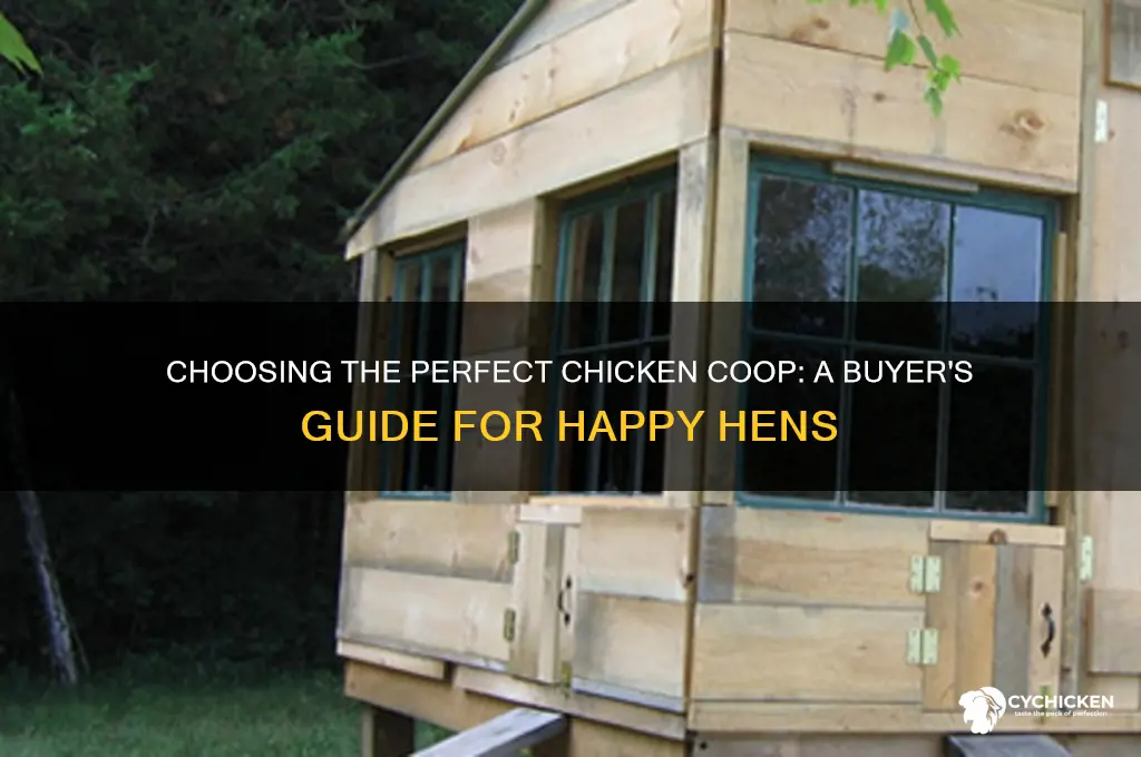 which chicken coop should i buy