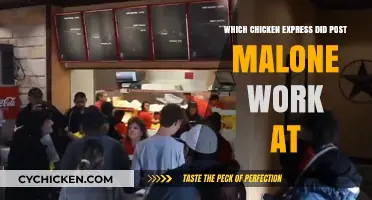 Post Malone's Chicken Express Job: Uncovering His Fast-Food Past