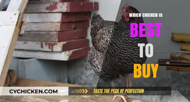 Choosing the Best Chicken: A Guide to Quality and Taste