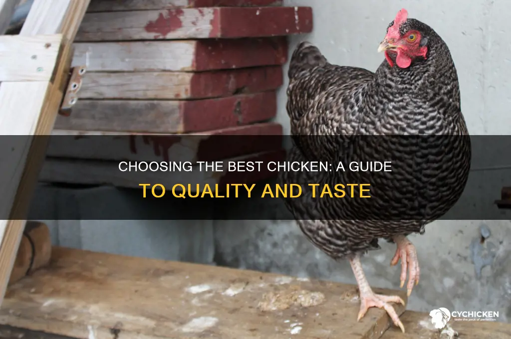 which chicken is best to buy