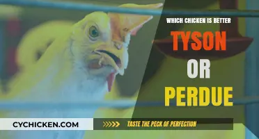 Tyson vs. Perdue: Which Chicken Brand Reigns Supreme?