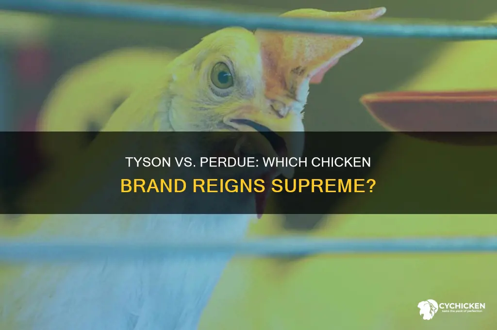 which chicken is better tyson or perdue