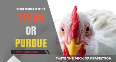Tyson vs. Purdue: Which Chicken Brand Reigns Supreme?