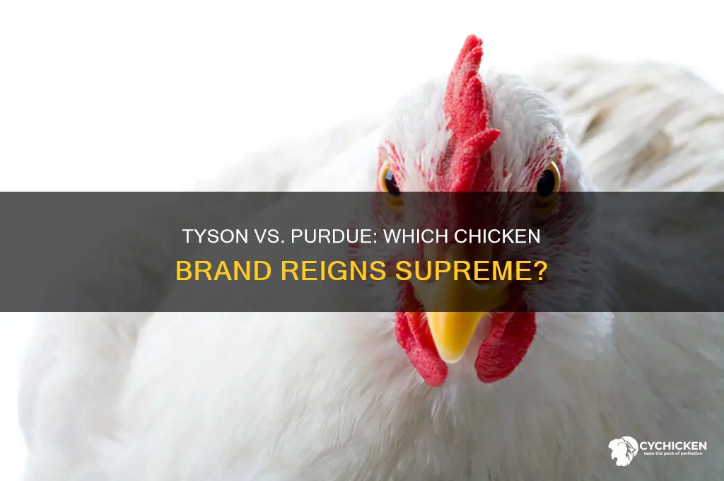which chicken is better tyson or purdue