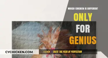 Spot the Odd Chicken: A Genius-Level Poultry Puzzle