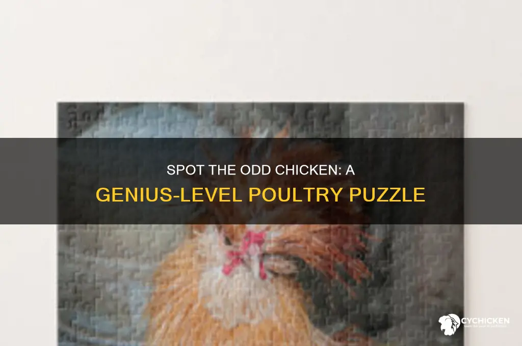which chicken is different only for genius