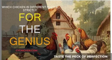 Chicken Conundrum: A Puzzle for the Truly Brilliant