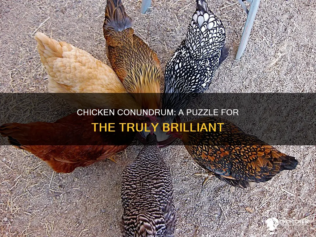which chicken is different puzzle strictly for the genius