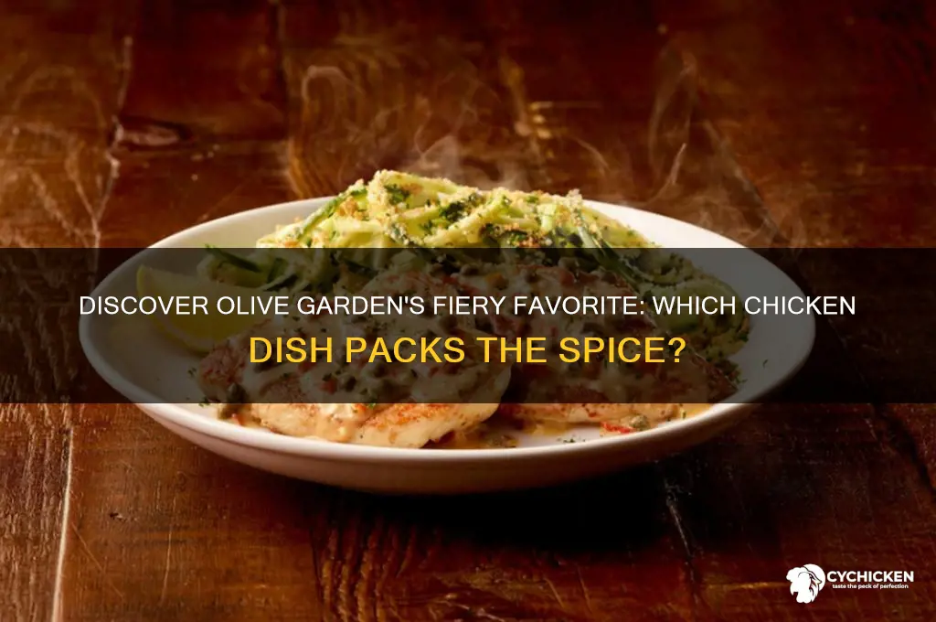 which chicken is the spicy chicken at olive
