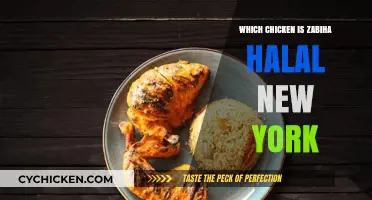 Zabiha Halal Chicken Options in New York: A Comprehensive Guide