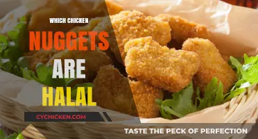 Halal Chicken Nuggets Guide: Brands, Certifications, and Where to Buy
