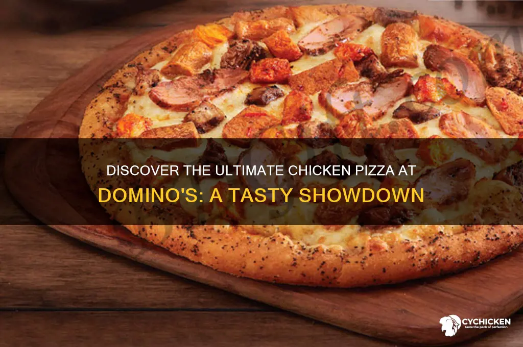 which chicken pizza is best in dominos