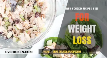 Healthy Chicken Recipes to Fuel Your Weight Loss Journey