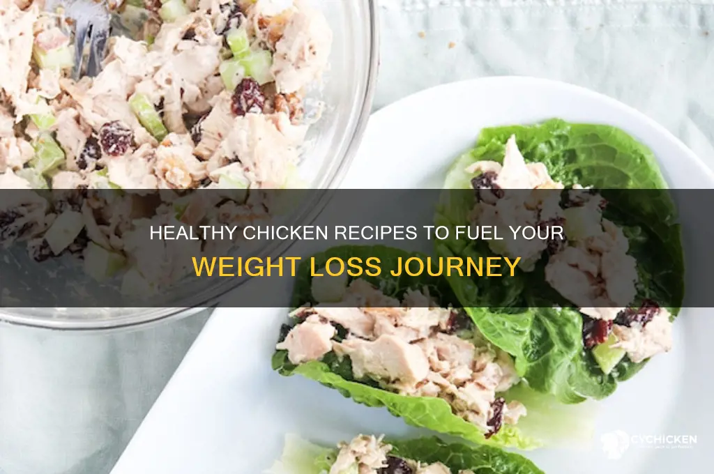 which chicken recipe is best for weight loss