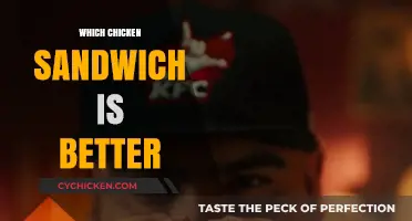 Battle of the Birds: Which Chicken Sandwich Reigns Supreme?
