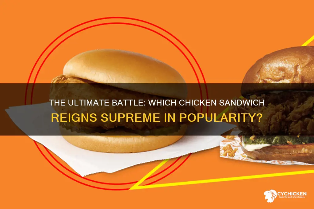 which chicken sandwich is very popular