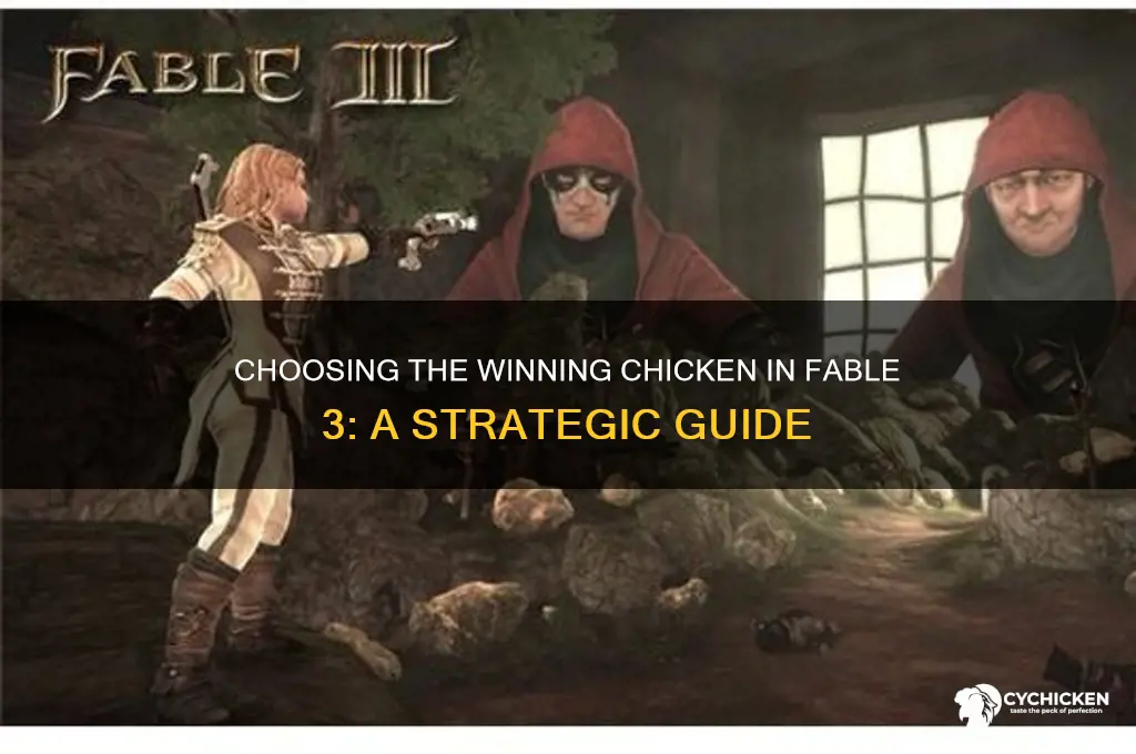 which chicken to bet on fable 3