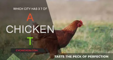 Three Cities, Seven Chickens: A Culinary Adventure