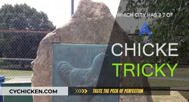 Tricky City Chicken Mystery: 3/7 of a Whole
