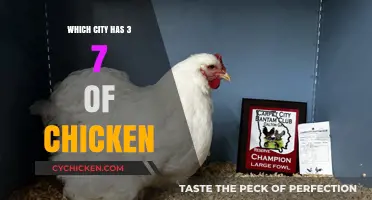 Unveiling the City with a Unique 3/7 Chicken Connection