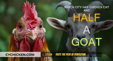 Unusual City Names: Chicken, Cat, and Half a Goat