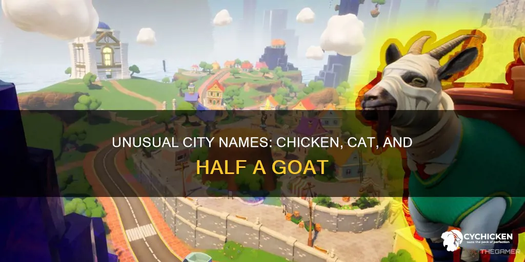 which city has chicken cat and half a goat