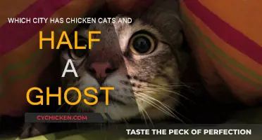 Haunted City: Cats, Ghosts, and Chickens, Oh My!