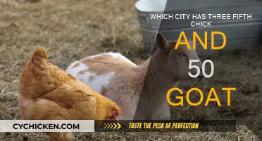 Chicks and Goats: Which City Has the Most?