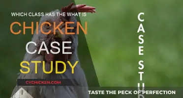 Chicken Case Study: Unveiling a Class Mystery