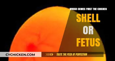 Unraveling the Mystery: Chicken Shell or Fetus – Which Develops First?