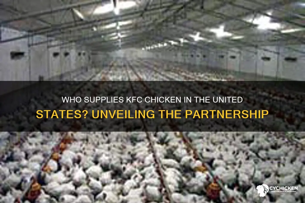 which company supplies kfc chicken in united states