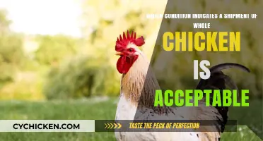 Quality Check: Key Signs Your Whole Chicken Shipment Meets Standards
