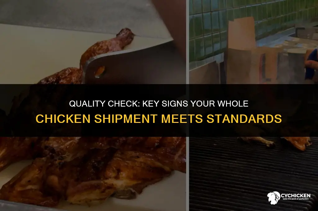 which condition indicates a shipment of whole chicken is acceptable