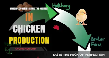 Top Chicken Producing Nations: Global Leaders in Poultry Production