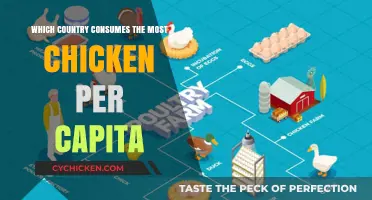 Global Chicken Consumption: Which Nation Tops Per Capita Eating?