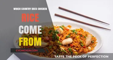 The Origins of Chicken Rice: Uncovering Its True Country of Birth