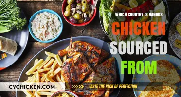 Where Does Nando's Chicken Come From? A Global Sourcing Journey