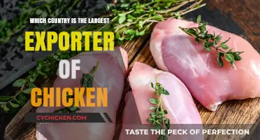 Global Poultry Trade: Which Country Leads Chicken Exports?