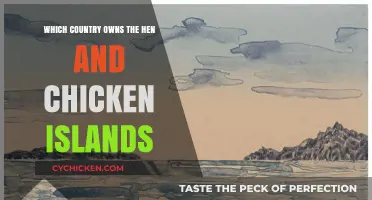Unveiling the Ownership Mystery of the Hen and Chicken Islands