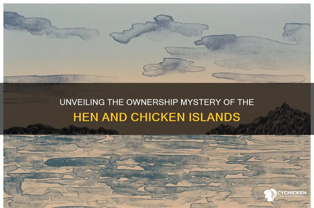 which country owns the hen and chicken islands