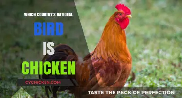 Clucking Surprises: Which Country Calls the Chicken Its National Bird?