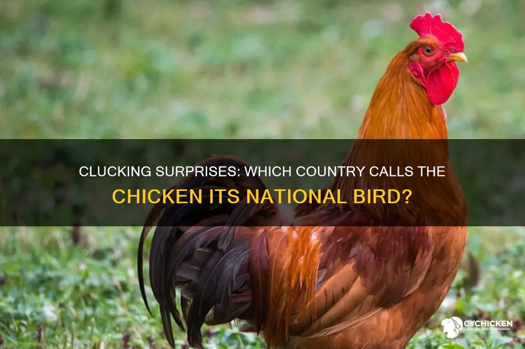 which country
