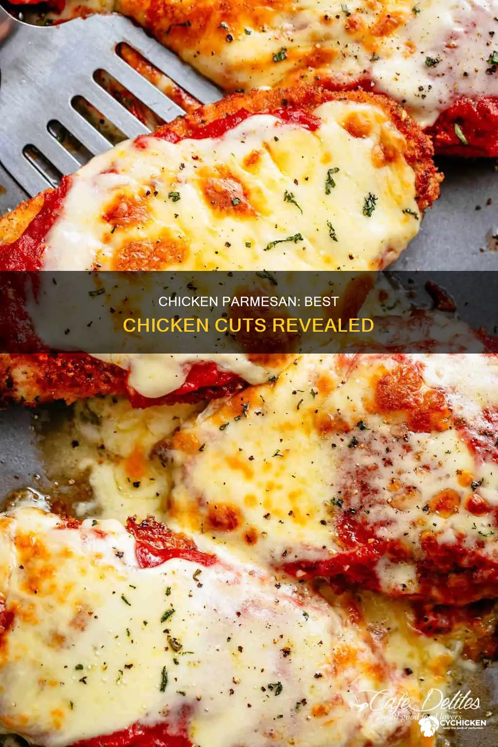 which cut of chicken are best for chicken parmesan